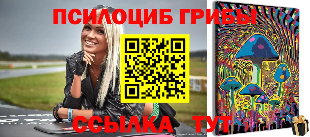 Псилоцибиновые грибы GOLDEN TEACHER Кохма