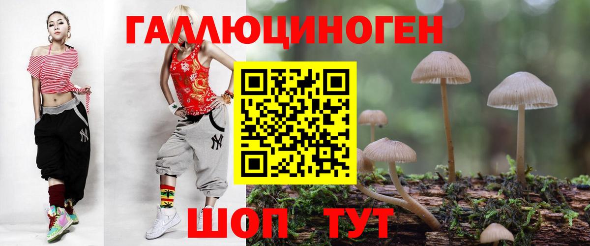 Галлюциногенные грибы Psilocybe  Вход с VPN  Кохма 