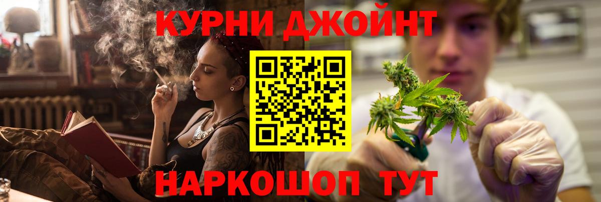 Бошки Шишки план Кохма